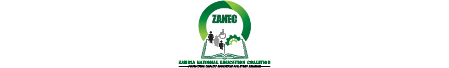 ZANEC 2020 Annual Report